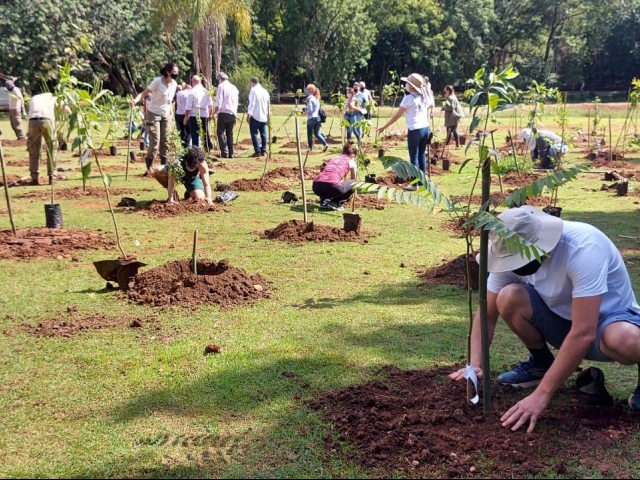 Projeto GÊNESIS realiza o plantio de 3.500 mil mudas nativas - Cidão Santos