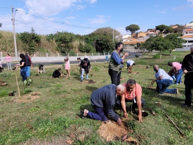 Plantio de Árvores nativas no Carlos Lourenço - Cidão Santos
