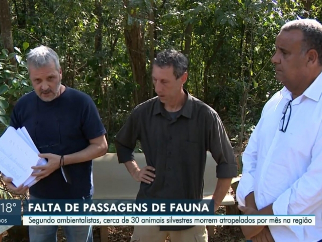 CORREDOR PARA ANIMAIS SILVESTRE EM CAMPINAS - Cidão Santos