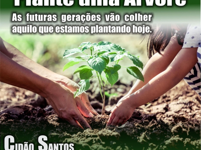 Árvore - Cidão Santos