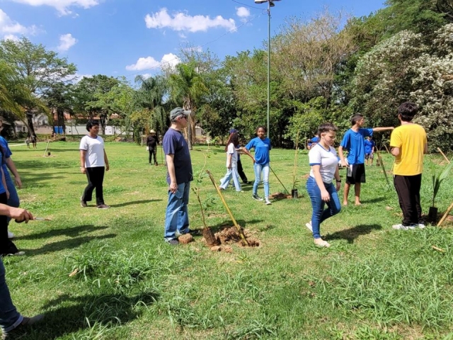 Plantio de  mudas de árvores frutíferas e nativas da mata atlântica Jardim Tamoio - Cidão Santos
