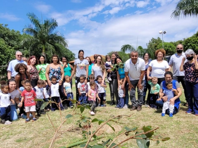 1.500 MUDAS DE ÁRVORES FRUTÍFERAS E NATIVAS DA MATA ATLÂNTICA PLANTADAS - Cidão Santos
