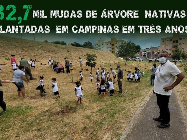 32,7 mil mudas de Árvore nativas plantadas em Campinas em três anos - Cidão Santos