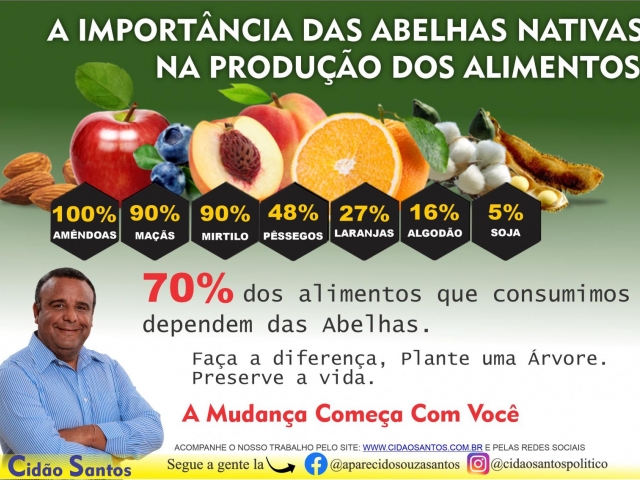 A IMPORTÂNCIA DAS ABELHAS NATIVAS NA PRODUÇÃO DOS ALIMENTOS. - Cidão Santos