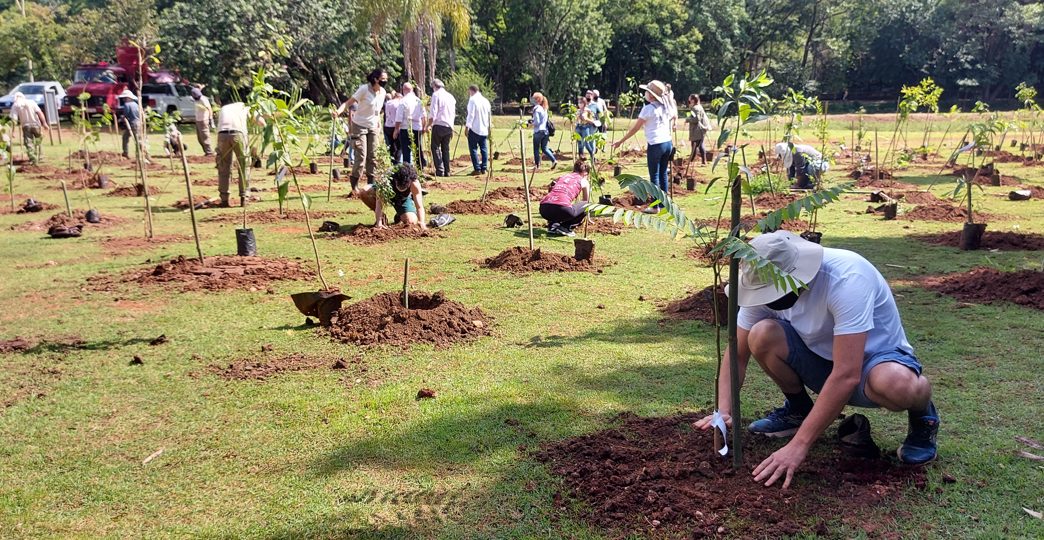 Meio Ambiente em PautaCidão Santos