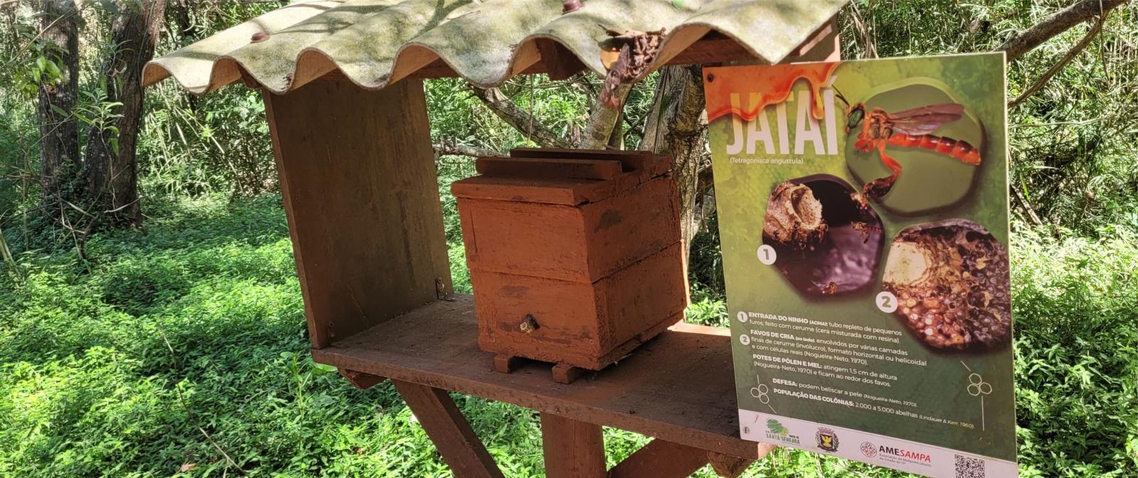 Meliponário - Abelhas nativas sem ferrãoCidão Santos