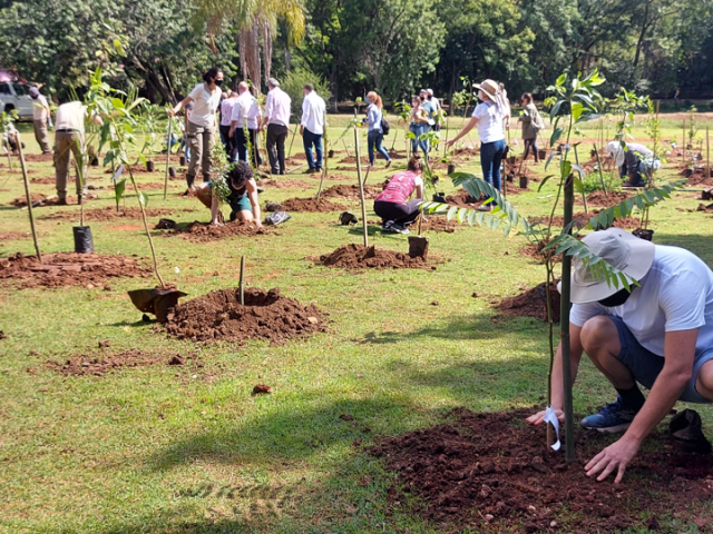 Meio Ambiente em Pauta - Cidão Santos