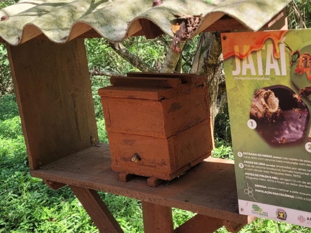 A IMPORTÂNCIA DAS ABELHAS NATIVAS - Cidão Santos