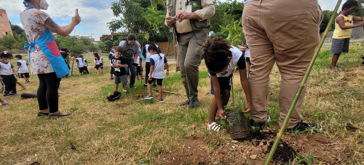 Meio Ambiente em PautaCidão Santos