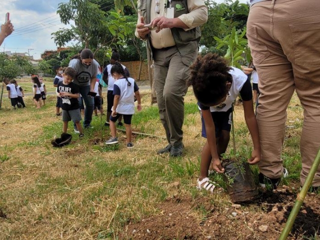 PROJETO GÊNESIS - CONSTRUTORES DE FLORESTAS URBANAS - Cidão Santos