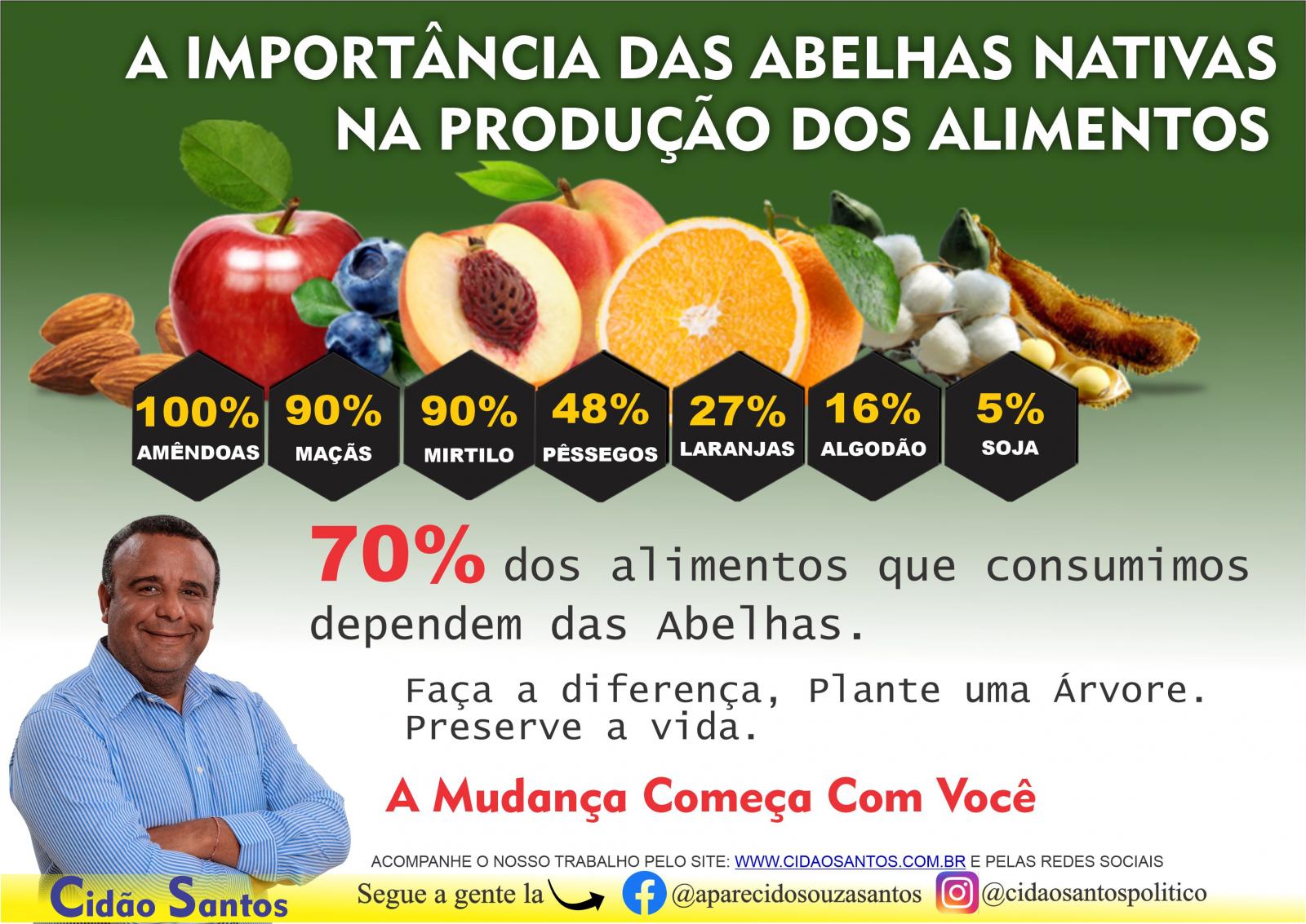 A IMPORTÂNCIA DAS ABELHAS NATIVAS NA PRODUÇÃO DOS ALIMENTOS. - Vereador Cidão Santos - Cidão Santos