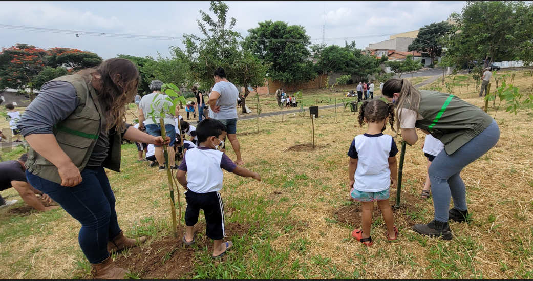 Meio Ambiente em Pauta  - Cidão Santos - Cidão Santos